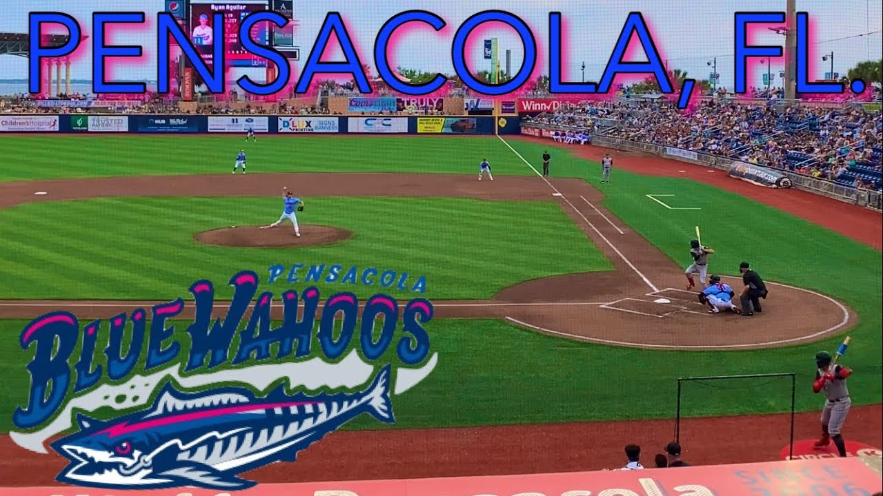 Blue Wahoos Baseball || Pensacola, Florida Attractions