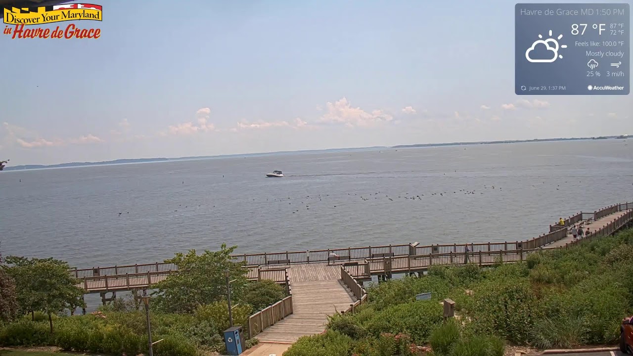 Decoy Cam - Havre de Grace Maryland