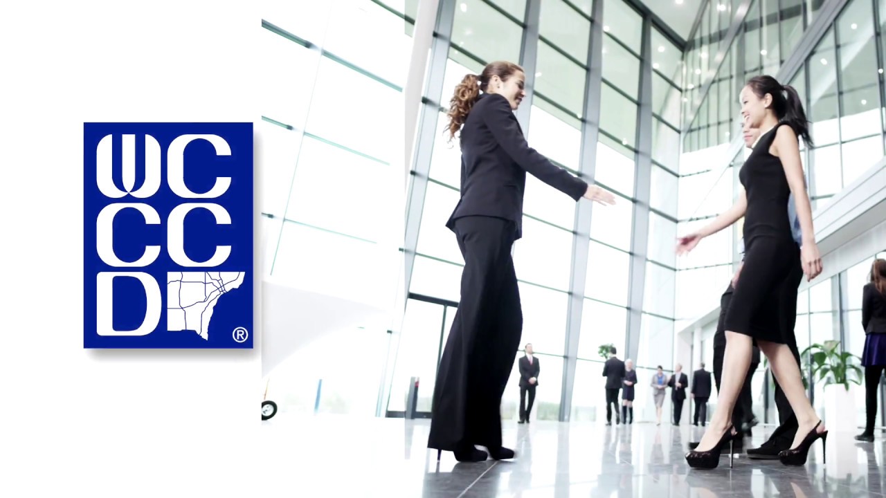 Wayne County Community College District IT Programs