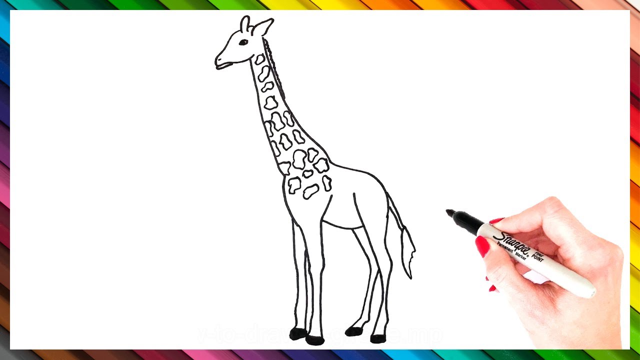 How To Draw A Giraffe Step By Step | Giraffe Drawing EASY | Super Easy Drawing Tutorials