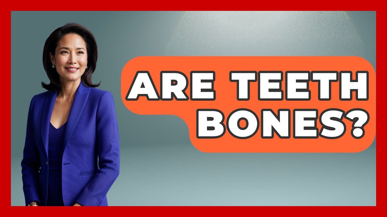Are Teeth Bones? - The Pro Dentist