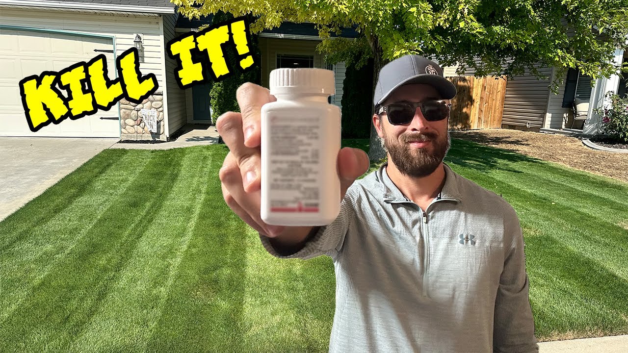 Destroy Nutsedge With just 1 Easy Application!